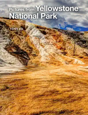 Pictures from Yellowstone National Park by Tony Xu book
