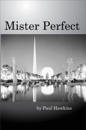 Book cover for Mister Perfect by Paul Hawkins
