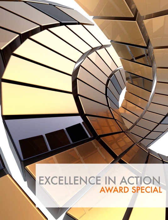 Excellence in Action