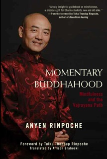 Momentary Buddhahood by Anyen, Allison Choying Zangmo & Thondup