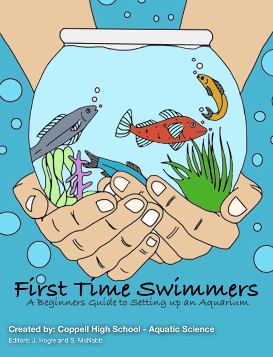 First Time Swimmers