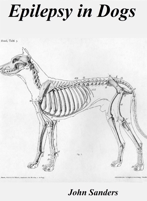 Epilepsy in Dogs