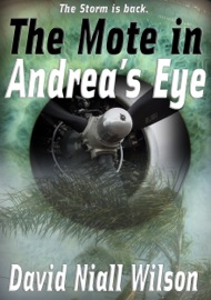 The Mote in Andrea's Eye - David Niall Wilson