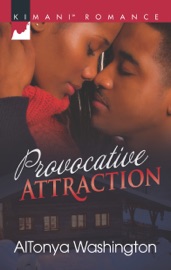 Provocative Attraction - AlTonya Washington