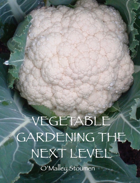 Vegetable Gardening The Next level