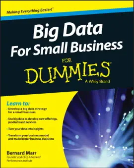 Read: Book Big Data For Small Business For Dummies