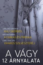 Kulcskérdés, A farkas és Piroska, Viharos szilveszteréj (A vágy 12 árnyalata 1. kötetcím) - Darlene Gardner