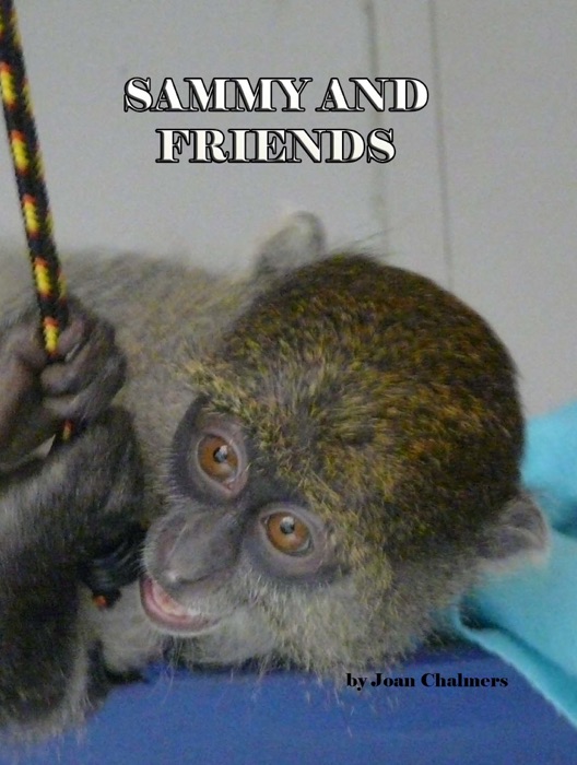 Sammy and Friends