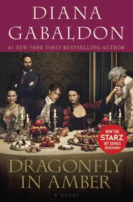 Read: Dragonfly Book in Amber