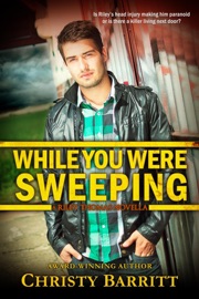 While You Were Sweeping - Christy Barritt