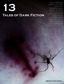 13: Tales of Dark Fiction - Adam Bradley
