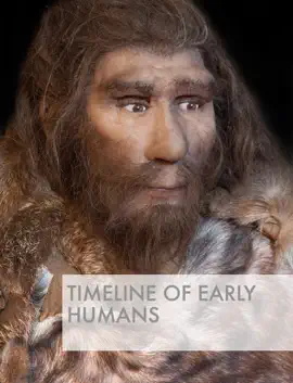 Timeline of Early Humans