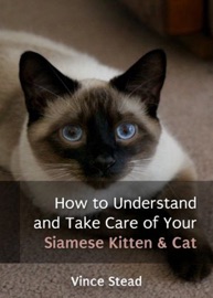 How to Understand and Take Care of Your Siamese Kitten & Cat - Vince Stead