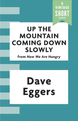 Read: Up the Book Mountain Coming Down Slowly