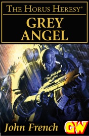 Grey Angel - John French