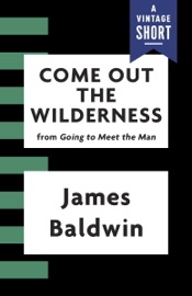 Come Out the Wilderness - James Baldwin
