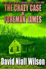 The Not Quite Right Reverend Cletus J. Diggs & The Crazy Case of Foreman James - David Niall Wilson