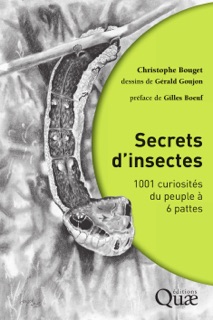 Secrets d'insectes by Gérald Goujon, Gilles Boeuf & Christophe Bouget