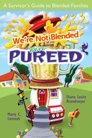 We are Not Blended, We are Pureed - Diana Lesire Brandmeyer