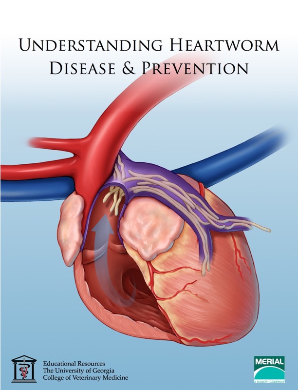 Understanding Heartworm Disease & Prevention
