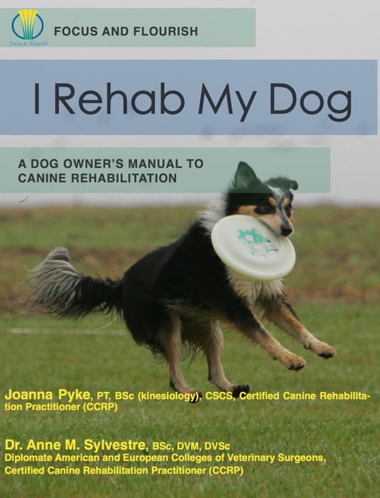 I Rehab My Dog