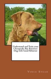 Understand and Train your Chesapeake Bay Retriever Dog with Good Behavior - Vince Stead