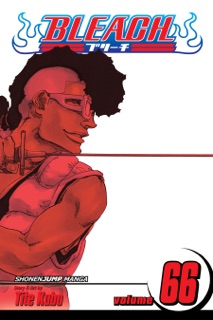 Bleach, Vol. 66 by Tite Kubo