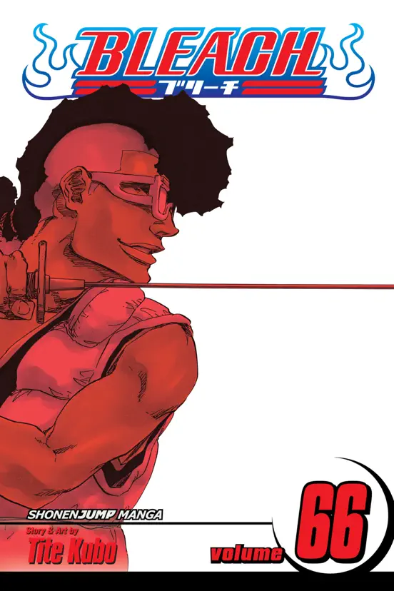 Bleach, Vol. 66