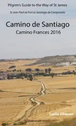 Camino de Santiago