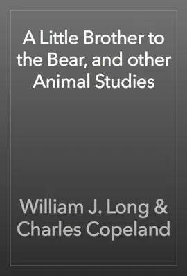 Read: A Little Brother Book to the Bear, and other Animal Studies