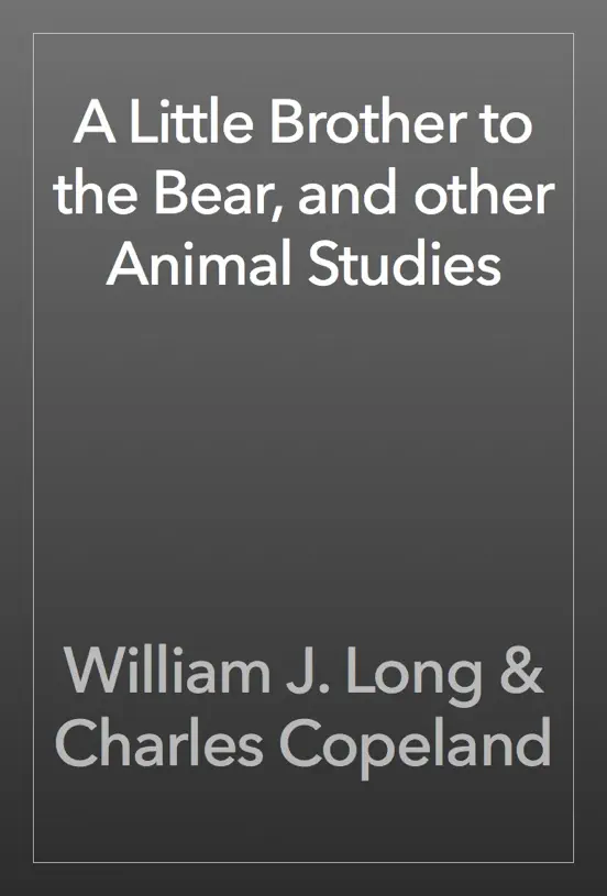 A Little Brother to the Bear, and other Animal Studies