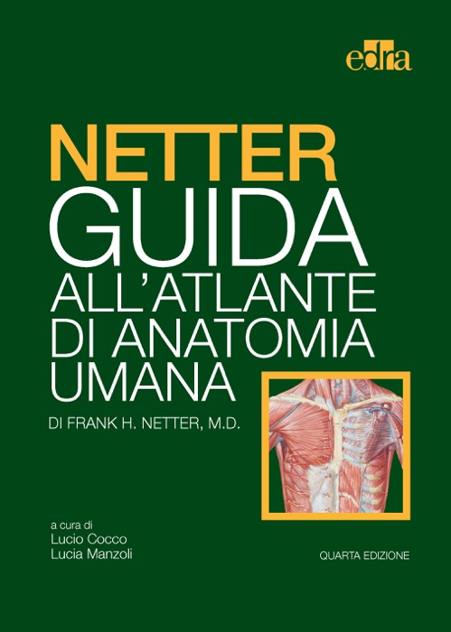 NETTER Guida all'Atlante di Anatomia Umana