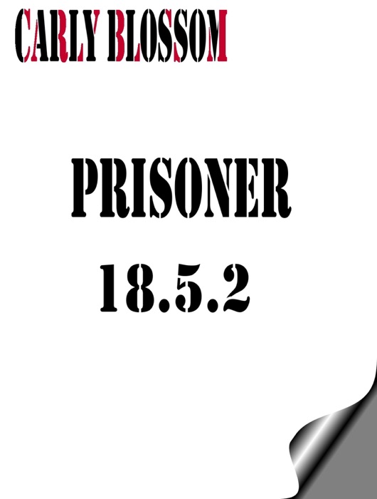 Prisoner 18.5.2