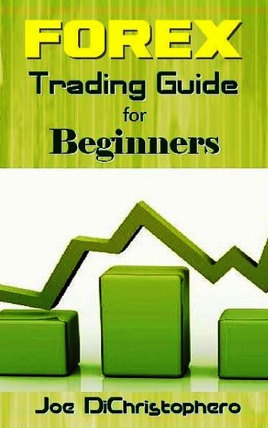 Forex Trading Guide For Beginners - 