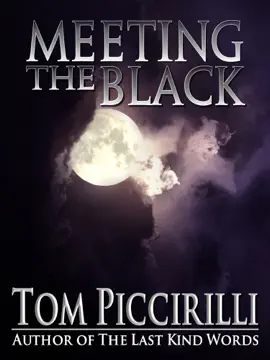 Read: Book Meeting the Black