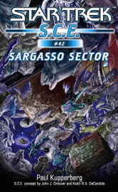 Star Trek: S.C.E.: Sargasso Sector - Paul Kupperberg