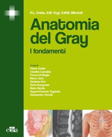 Anatomia del Gray