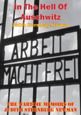 In The Hell Of Auschwitz; The Wartime Memoirs Of Judith Sternberg Newman [Illustrated Edition] - Judith Sternberg Newman Cover Art