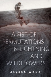 A Fist of Permutations in Lightning and Wildflowers - Alyssa Wong