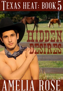 Hidden Desires (Texas Heat: Book 5) by Amelia Rose
