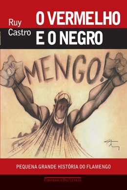 Capa do livro O que é ser mulher negra no Brasil? de Djamila Ribeiro