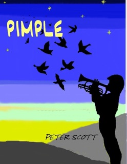 Pimple by Peter Scott