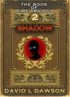 Shadow by David Dawson
