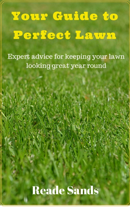 Your Guide To Perfect Lawn