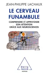 Cerveau funambule