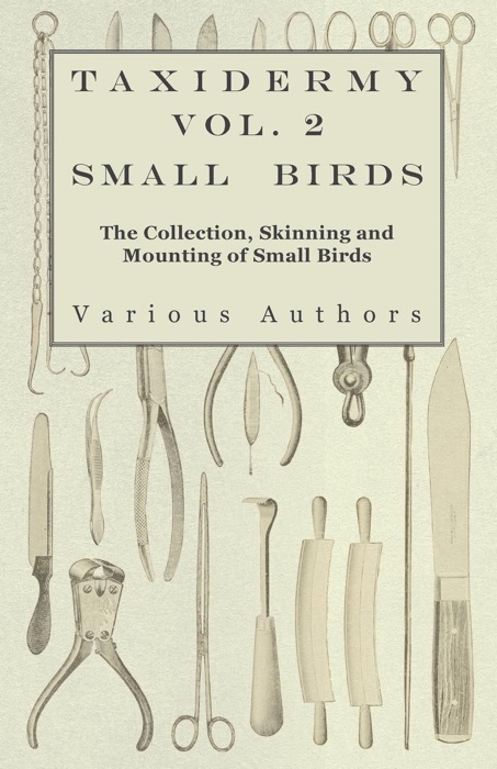 Taxidermy, Vol. 2 Small Birds
