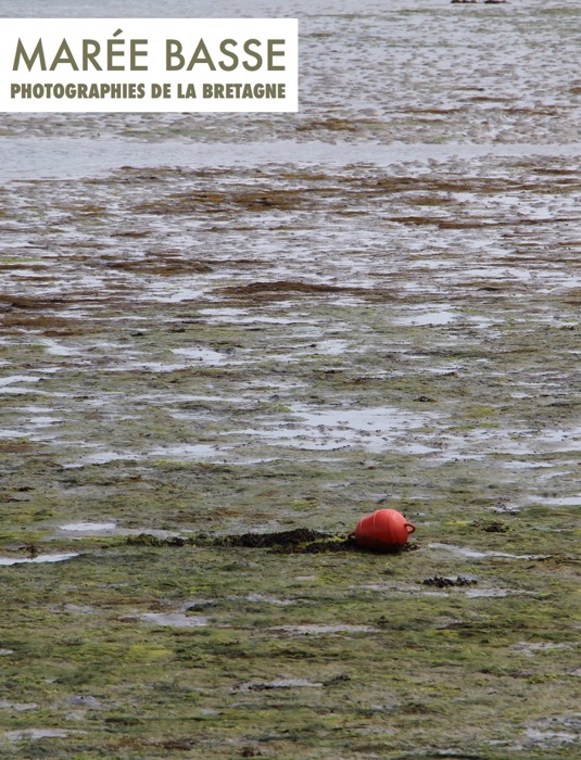 Marée basse