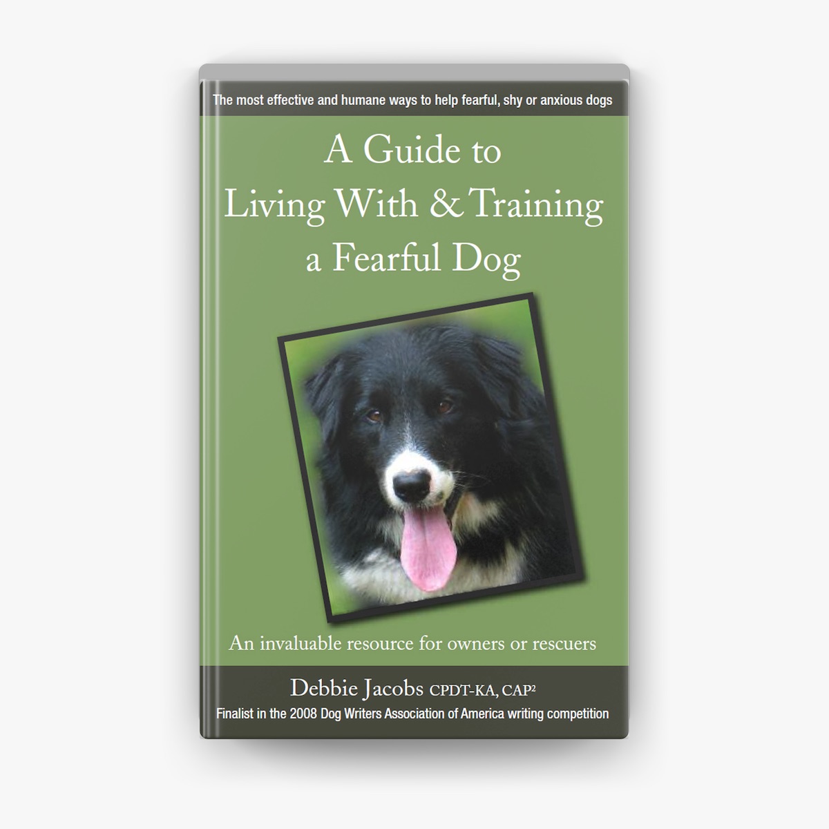 How to Train a Frightened Dog: Proven Tips for Gentle Confidence
