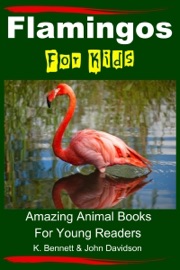 Flamingos For Kids: Amazing Animal Books For Young Readers - K. Bennett & John Davidson