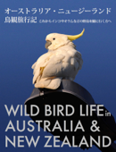 オーストラリア・ニュージーランド鳥観旅行記 - ビッケ・バッケンバード